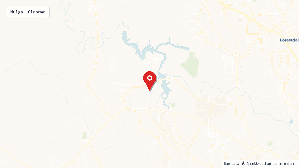 Street map of Mulga, Alabama with location pin