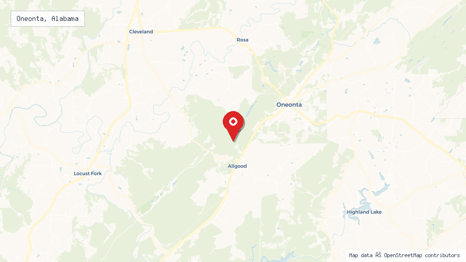 Street map of Oneonta, Alabama with location pin