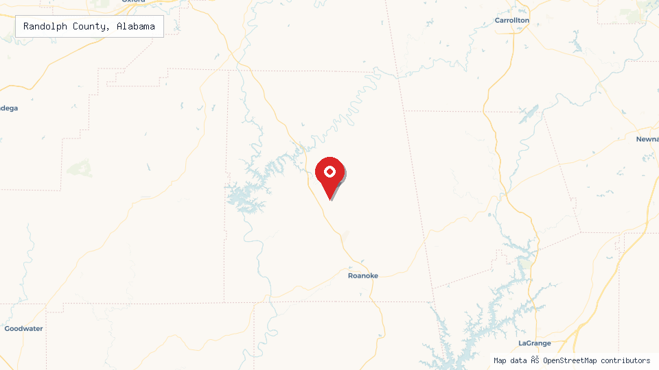 Street map of Randolph County, Alabama with location pin