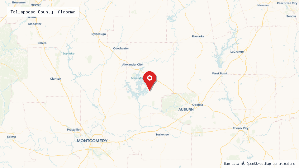 Street map of Tallapoosa County, Alabama with location pin