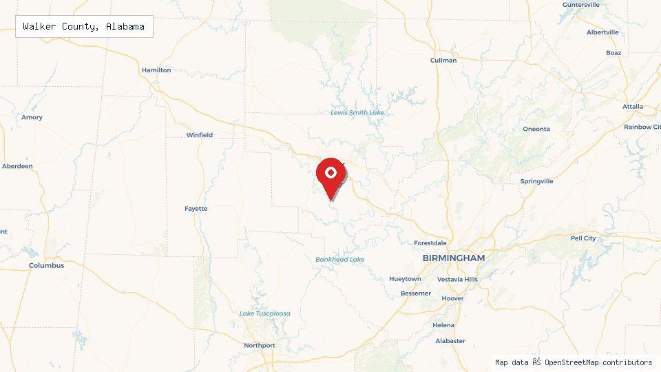 Street map of Walker County, Alabama with location pin