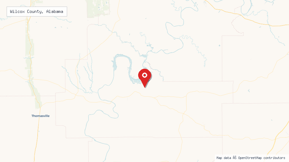 Street map of Wilcox County, Alabama with location pin