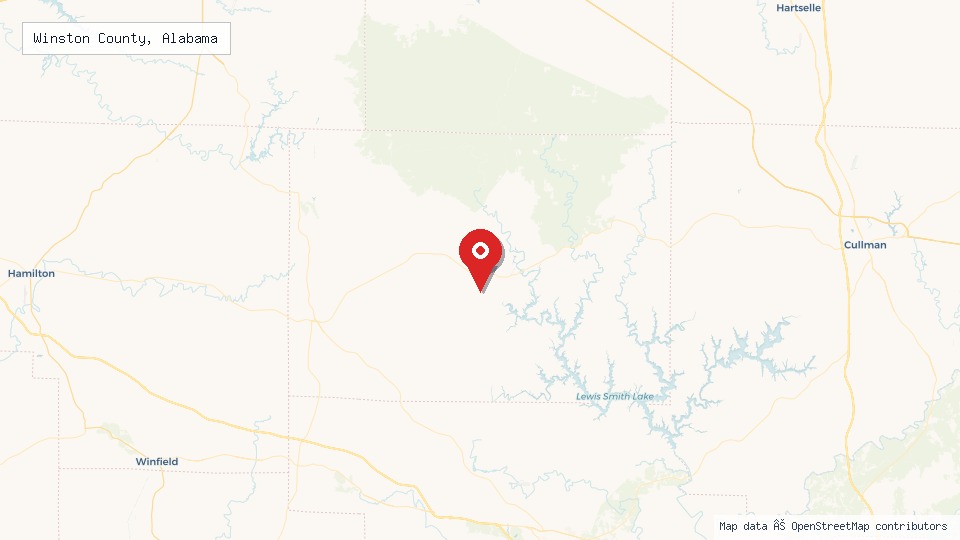Street map of Winston County, Alabama with location pin