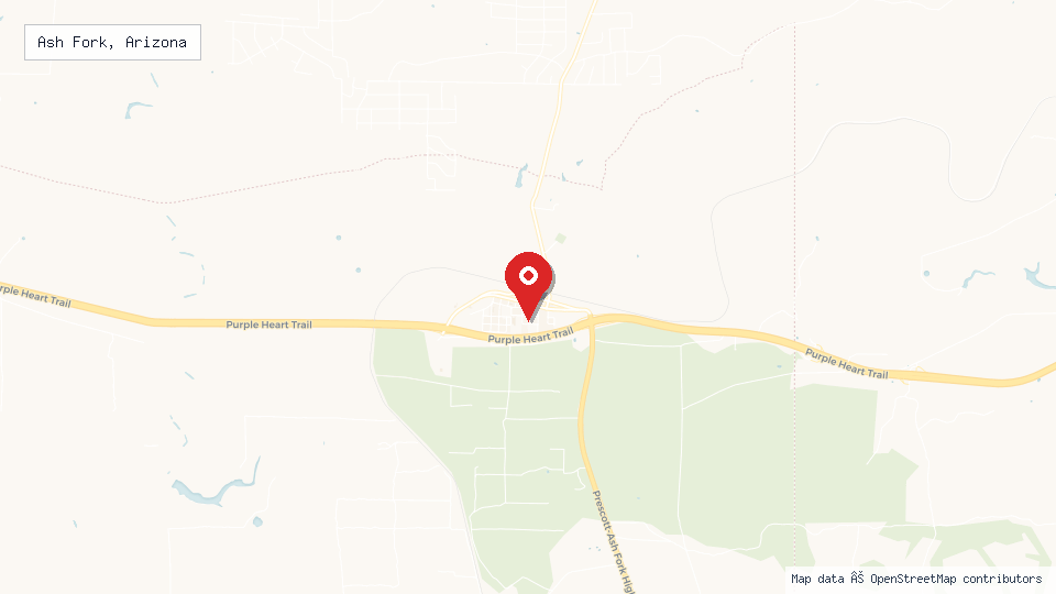 Street map of Ash Fork, Arizona with location pin