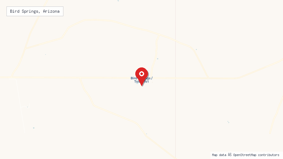 Street map of Bird Springs, Arizona with location pin