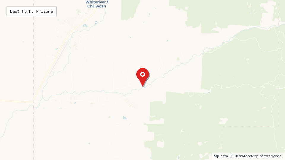 Street map of East Fork, Arizona with location pin