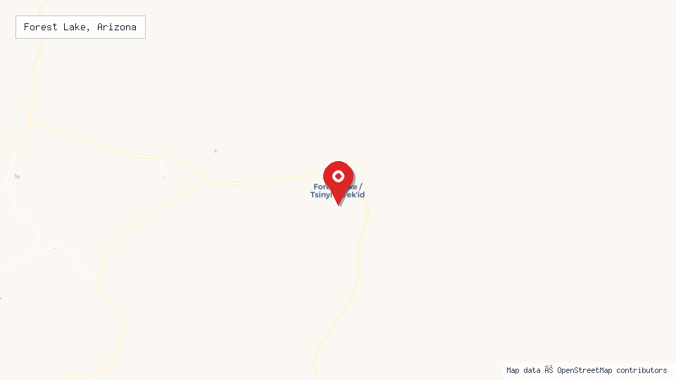 Street map of Forest Lake, Arizona with location pin