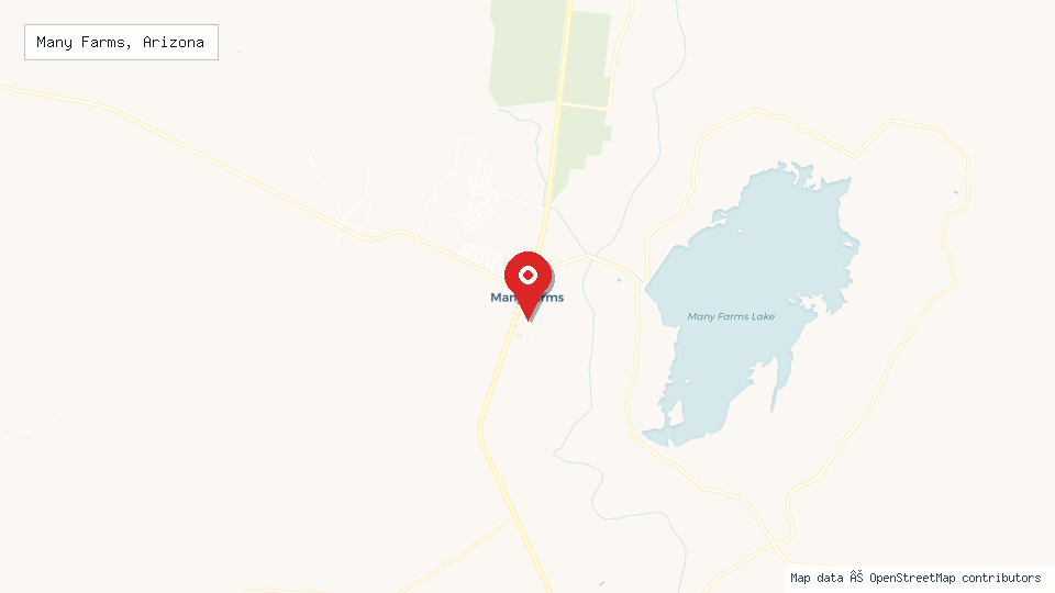 Street map of Many Farms, Arizona with location pin