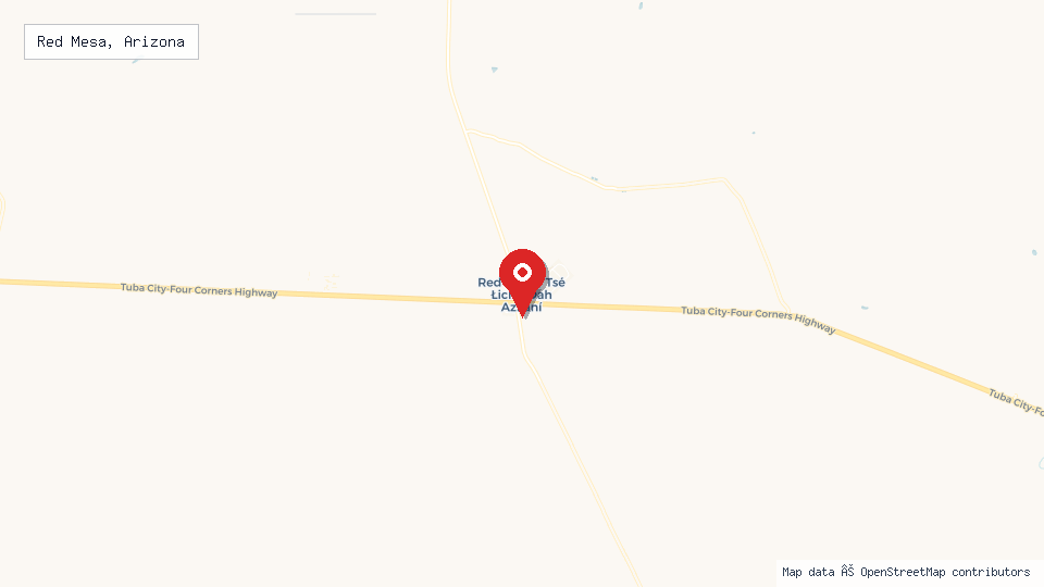 Street map of Red Mesa, Arizona with location pin