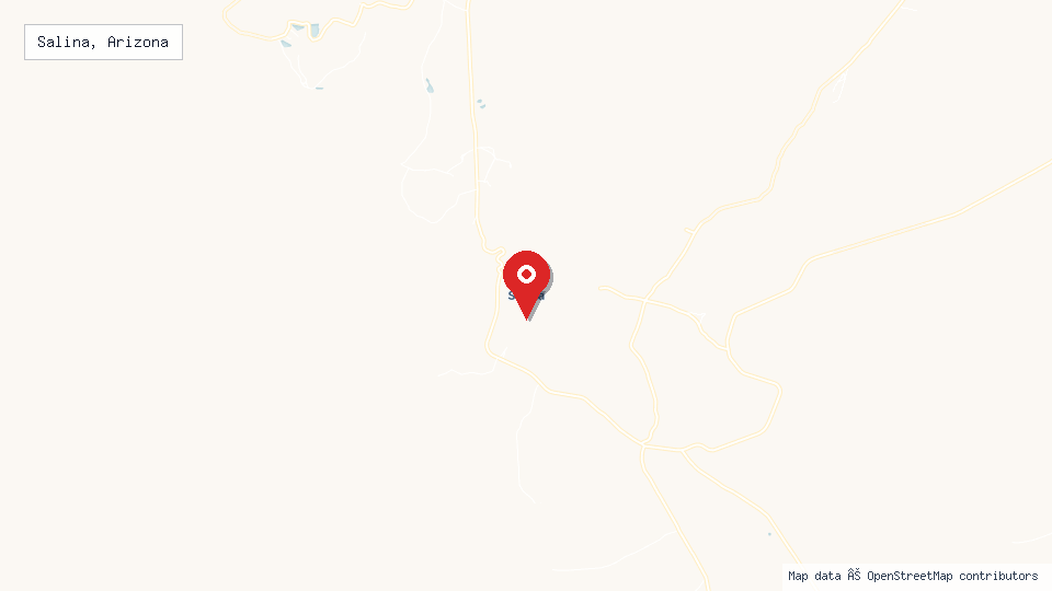 Street map of Salina, Arizona with location pin