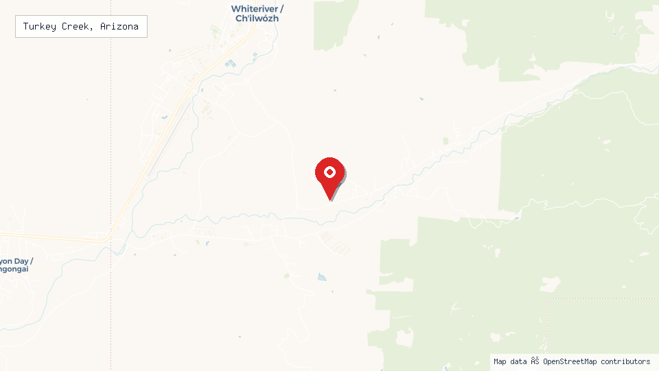 Street map of Turkey Creek, Arizona with location pin