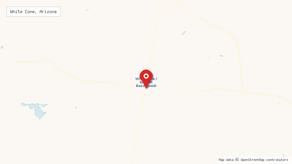 Street map of White Cone, Arizona with location pin