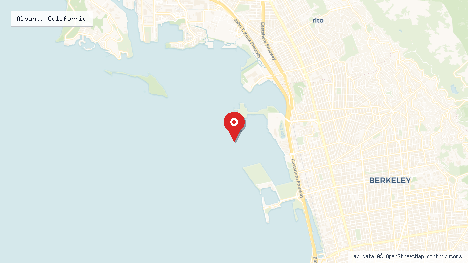 Street map of Albany, California with location pin