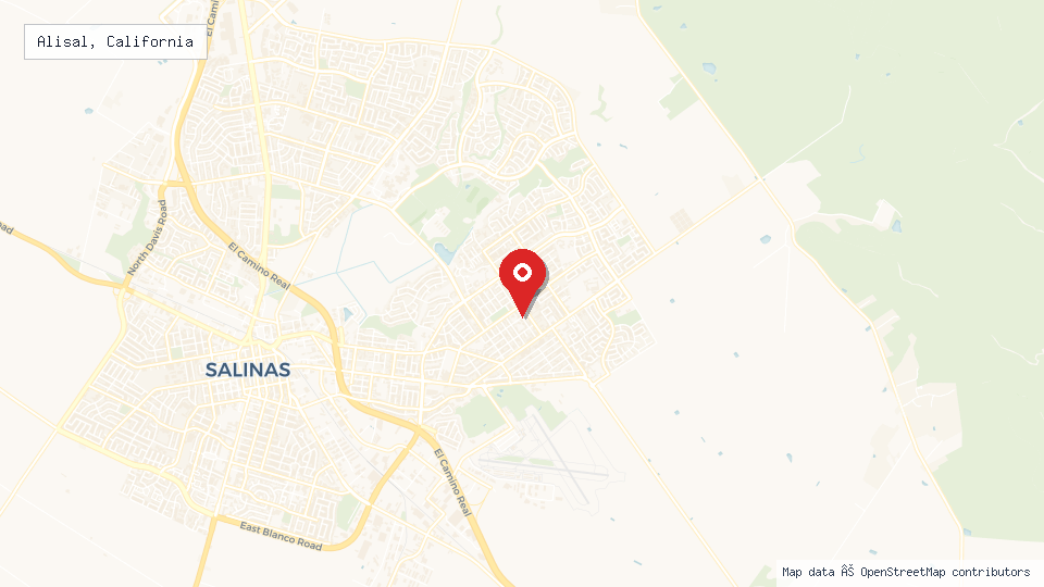 Street map of Alisal, California with location pin