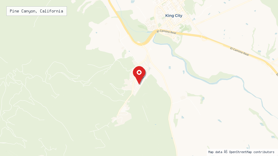 Street map of Pine Canyon, California with location pin
