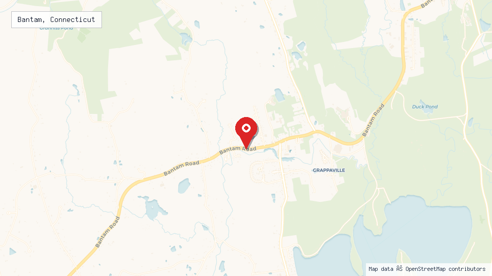 Street map of Bantam, Connecticut with location pin