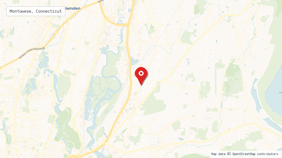 Street map of Montowese, Connecticut with location pin