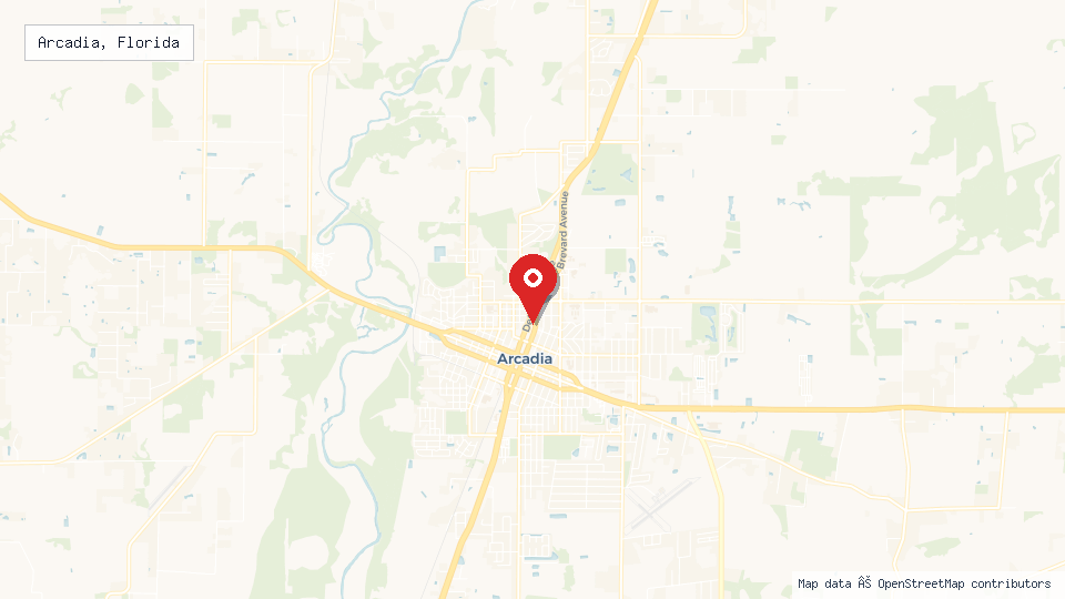 Street map of Arcadia, Florida with location pin