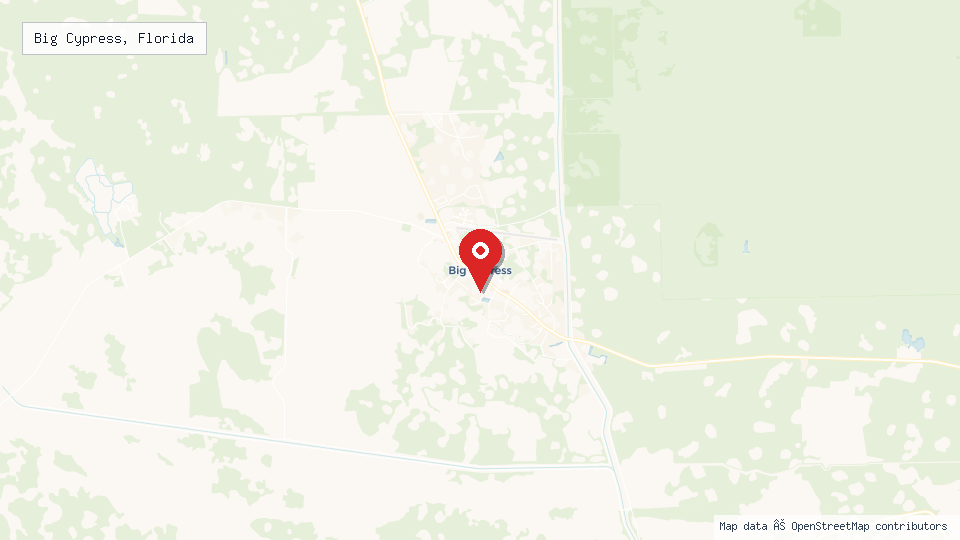 Street map of Big Cypress, Florida with location pin