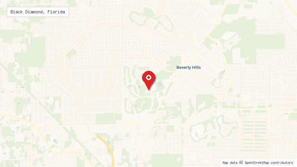 Street map of Black Diamond, Florida with location pin