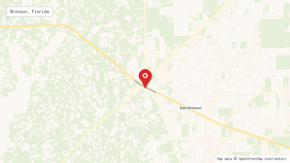 Street map of Bronson, Florida with location pin