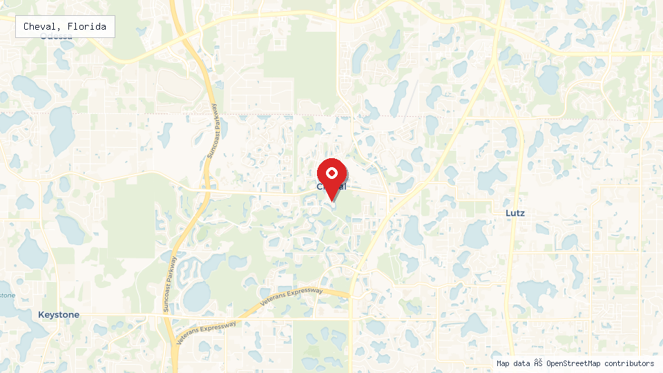 Street map of Cheval, Florida with location pin