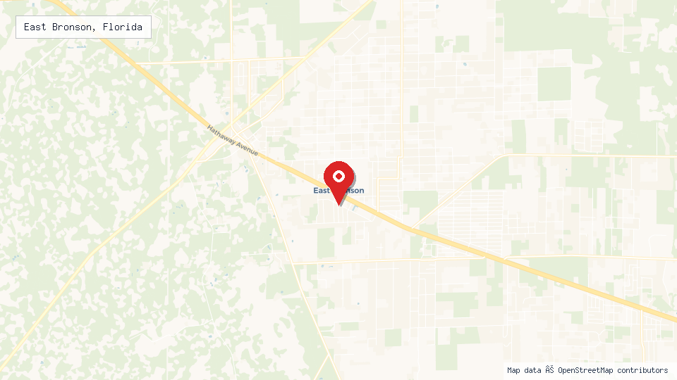 Street map of East Bronson, Florida with location pin