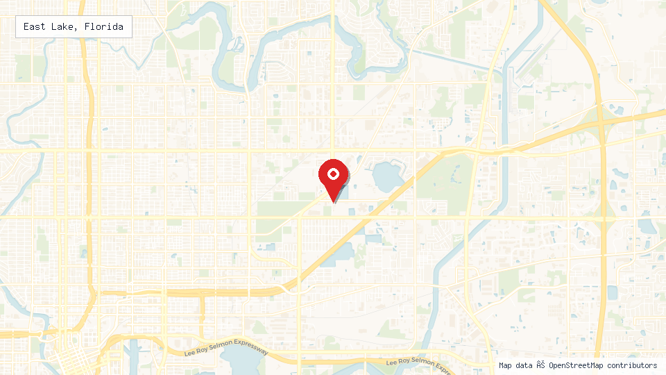Street map of East Lake, Florida with location pin