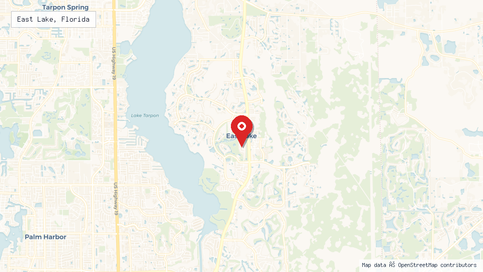 Street map of East Lake, Florida with location pin