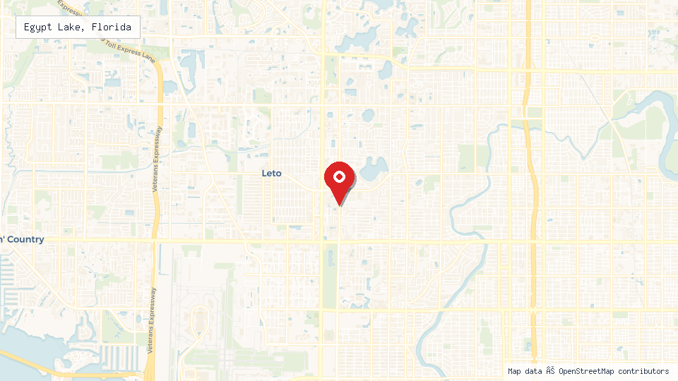 Street map of Egypt Lake, Florida with location pin