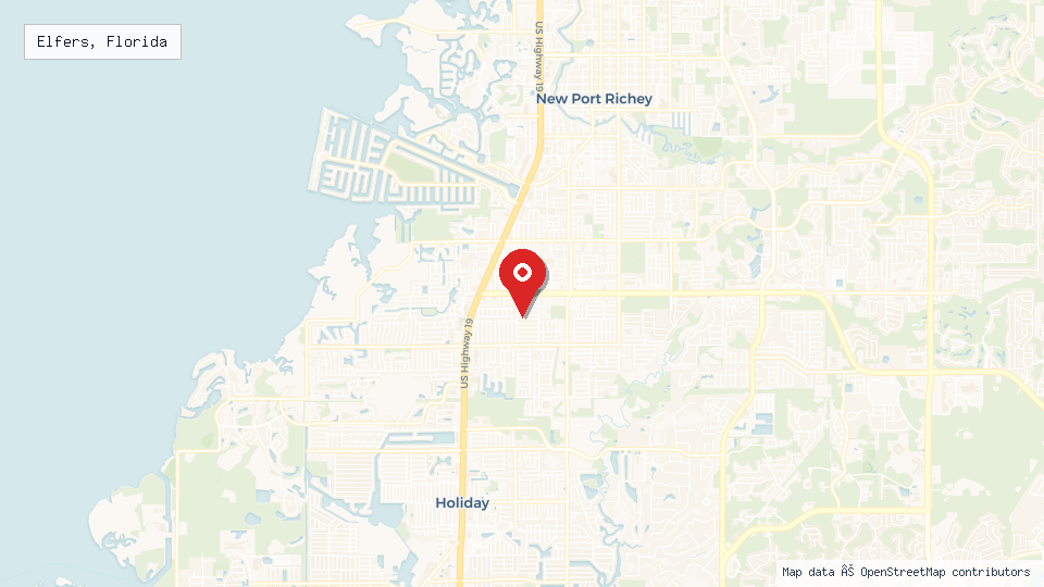 Street map of Elfers, Florida with location pin
