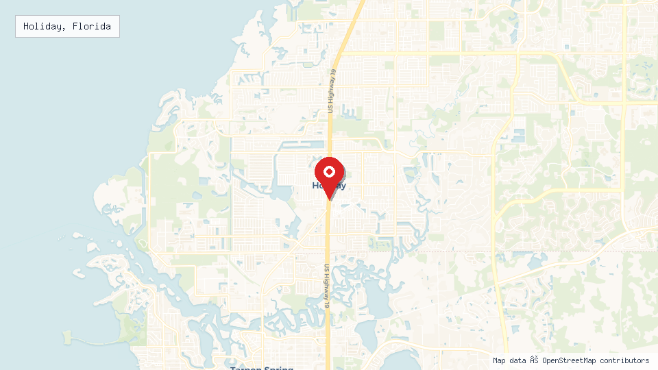 Street map of Holiday, Florida with location pin