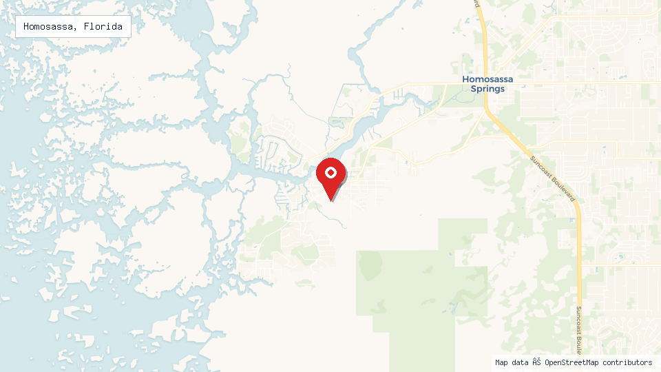 Street map of Homosassa, Florida with location pin