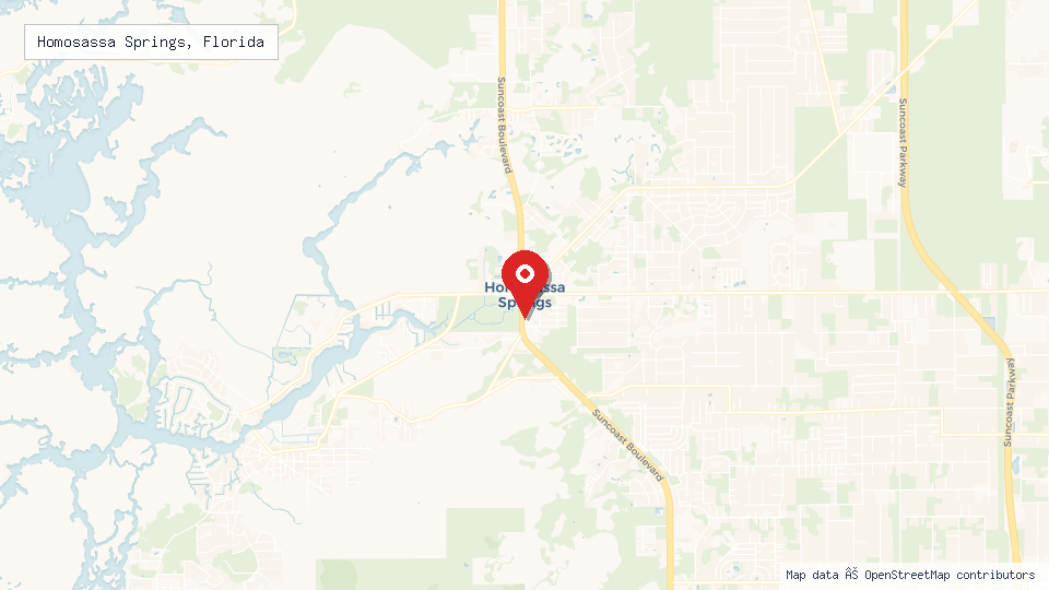 Street map of Homosassa Springs, Florida with location pin