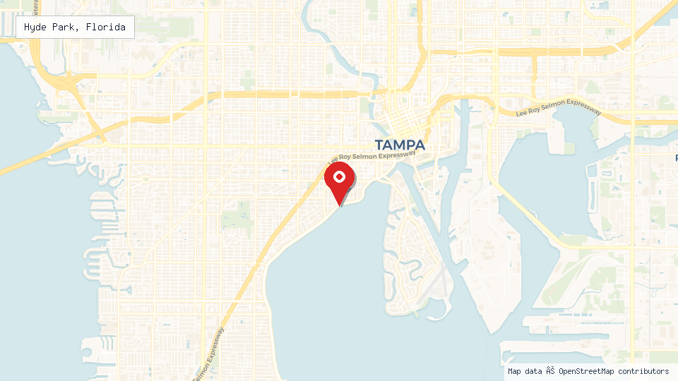 Street map of Hyde Park, Florida with location pin