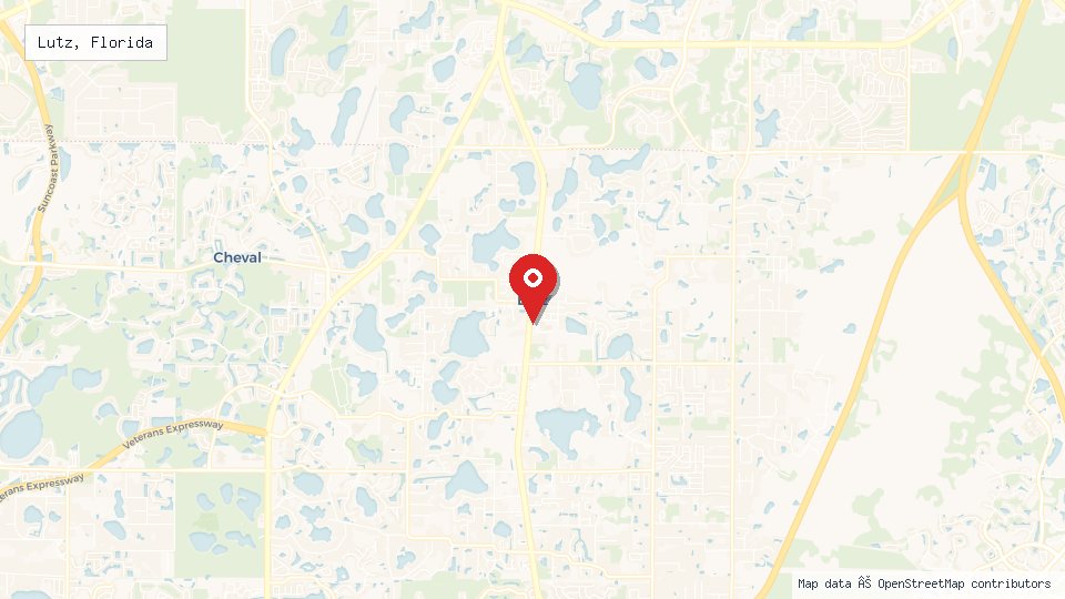 Street map of Lutz, Florida with location pin
