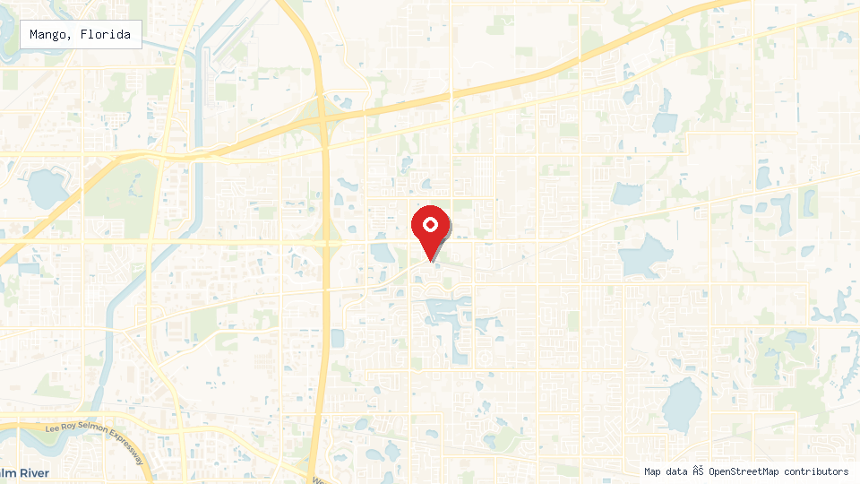 Street map of Mango, Florida with location pin