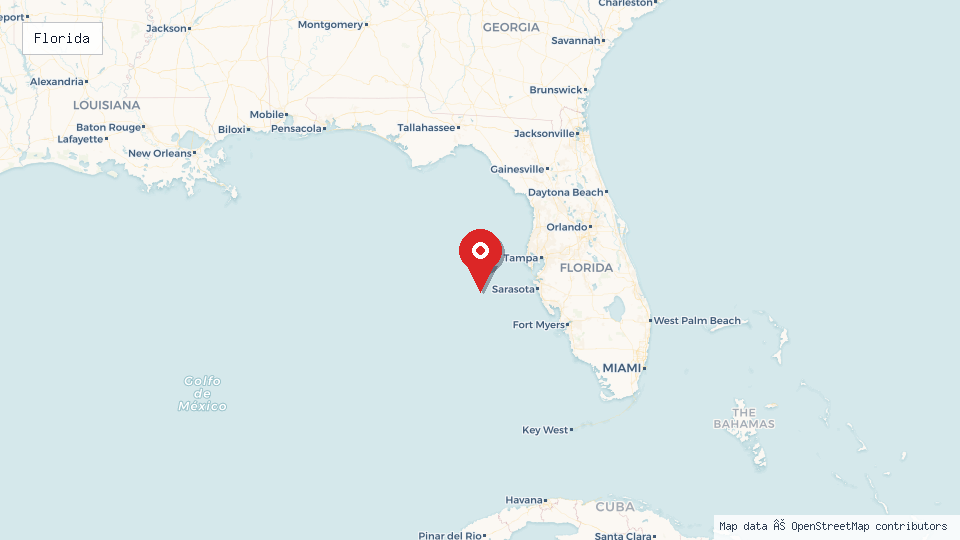 Street map of Florida with location pin