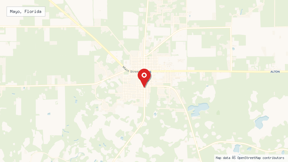 Street map of Mayo, Florida with location pin