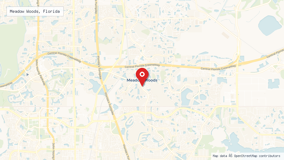 Street map of Meadow Woods, Florida with location pin