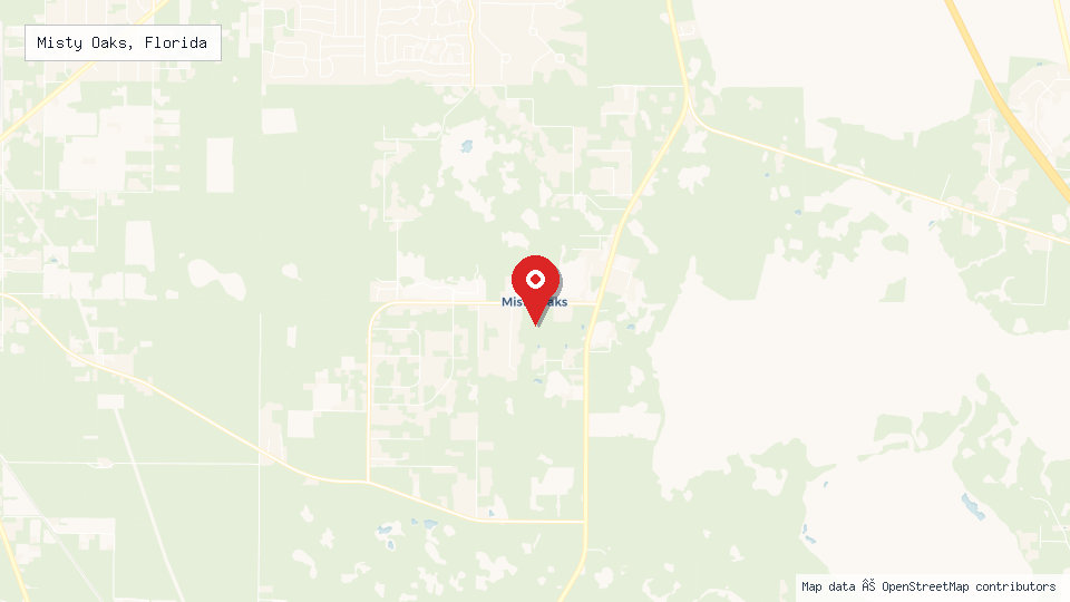 Street map of Misty Oaks, Florida with location pin