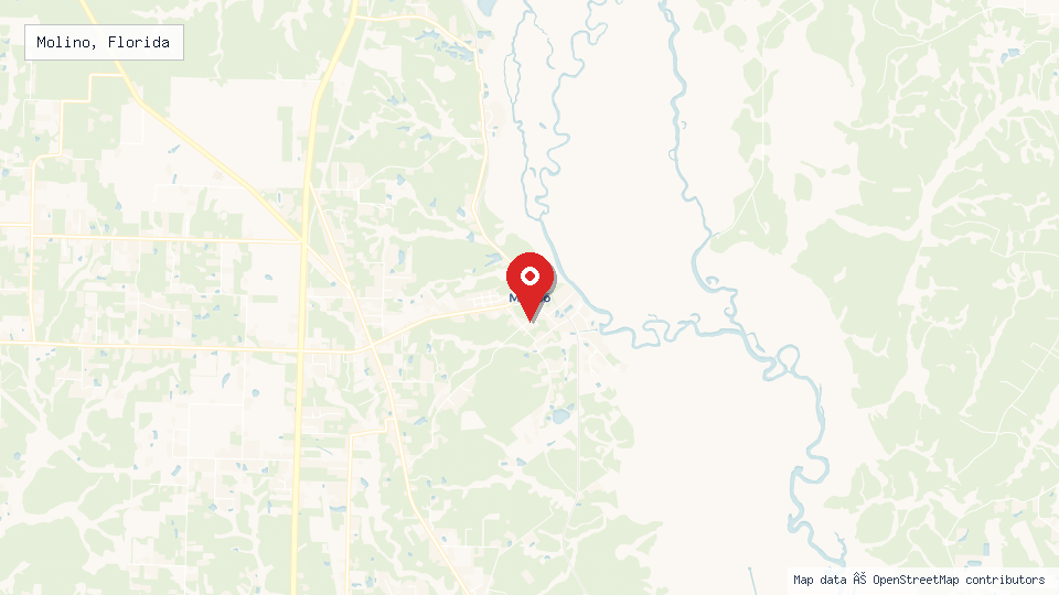 Street map of Molino, Florida with location pin
