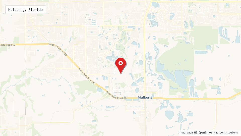 Street map of Mulberry, Florida with location pin