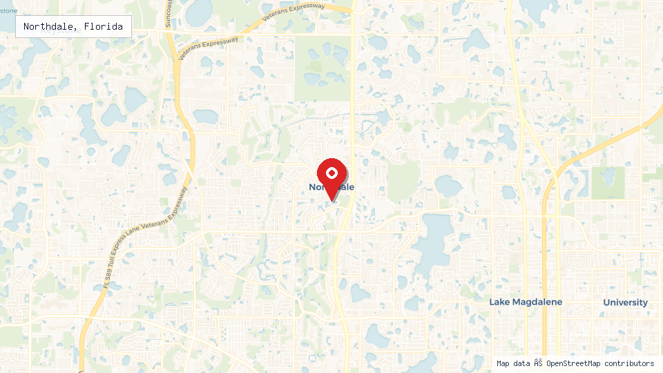 Street map of Northdale, Florida with location pin