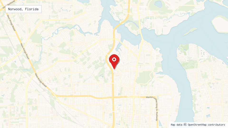 Street map of Norwood, Florida with location pin