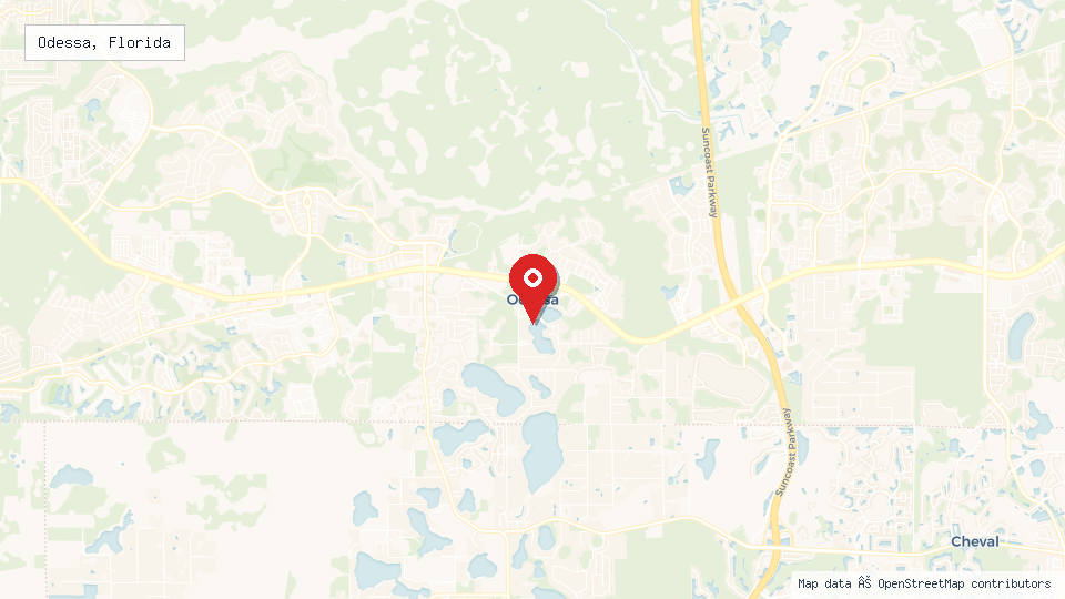 Street map of Odessa, Florida with location pin