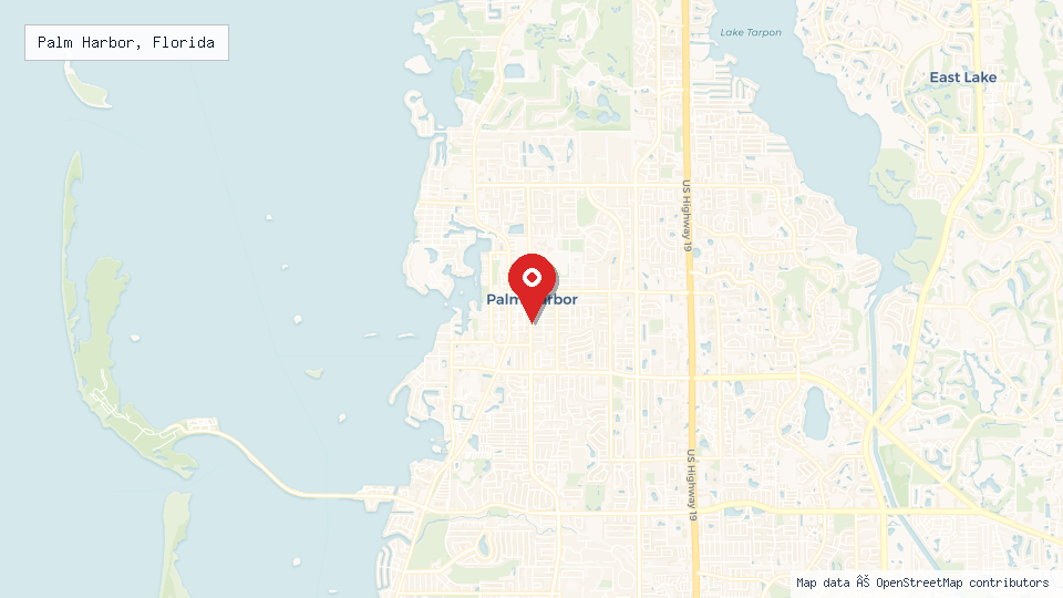 Street map of Palm Harbor, Florida with location pin