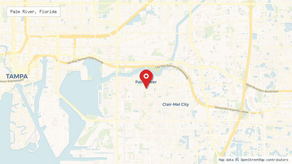Street map of Palm River, Florida with location pin