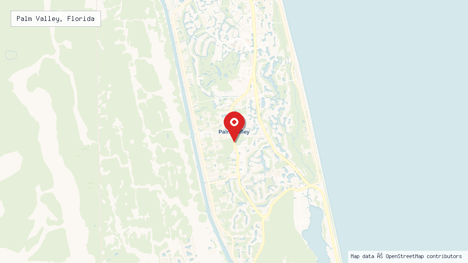 Street map of Palm Valley, Florida with location pin
