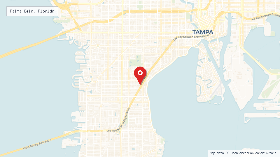 Street map of Palma Ceia, Florida with location pin